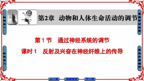 高中生物必修三兴奋在神经纤维传导