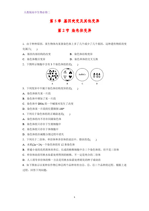 人教版(新教材)高中生物必修2练习10：5 2染色体变异课时作业