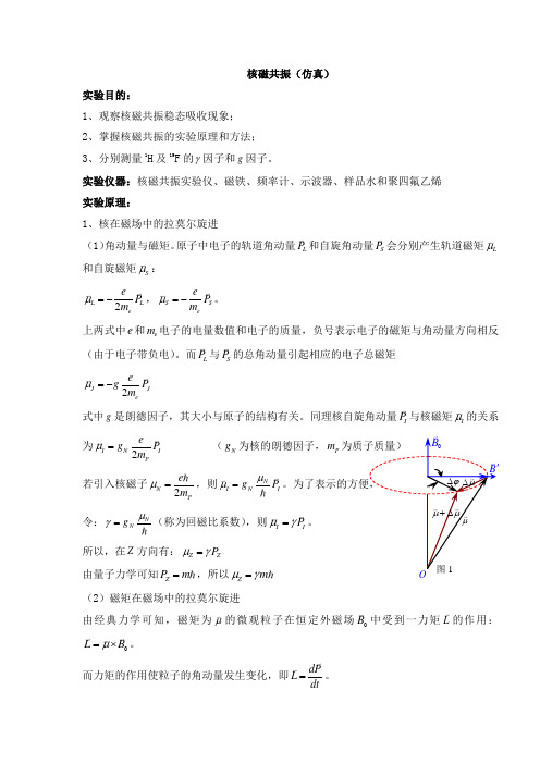 核磁共振(仿真)