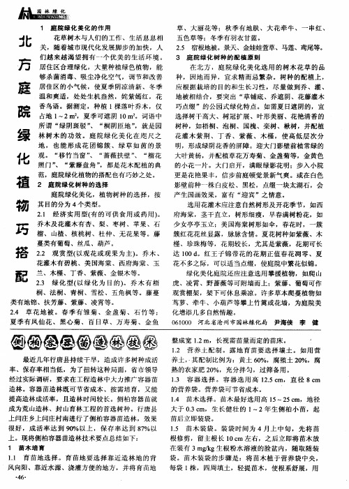 侧柏容器苗造林技术