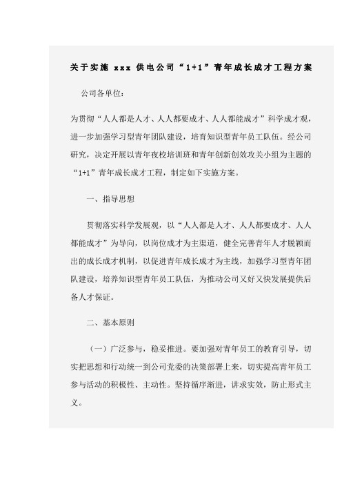 企业青年成长成才实施方案