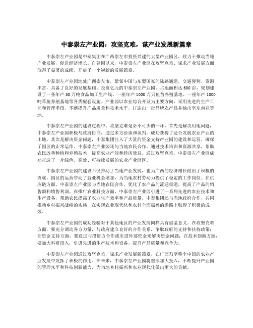 中泰崇左产业园：攻坚克难,谋产业发展新篇章