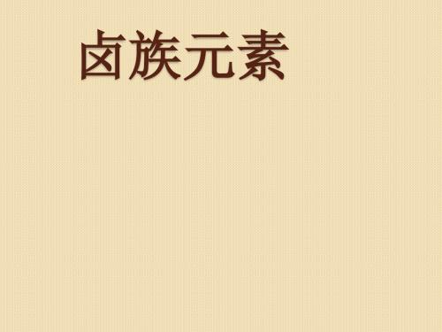 高考化学总复习一轮精品课件：《卤族元素》