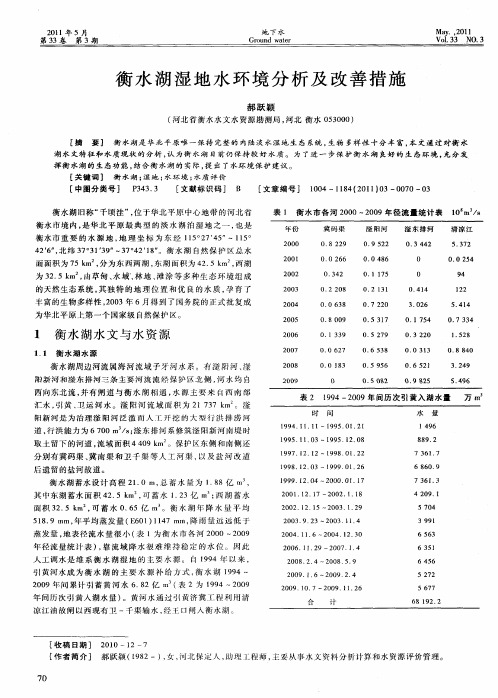 衡水湖湿地水环境分析及改善措施