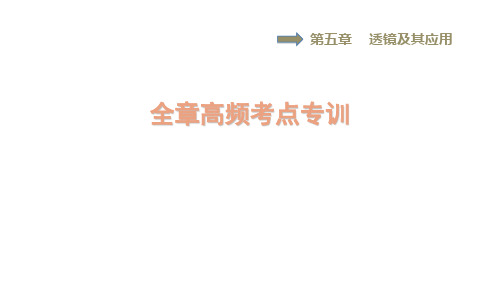 八年级物理上册第五章透镜及其应用高频考点专训习题课件新版新人教版