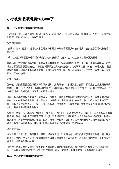 小小的改变收获满满作文500字