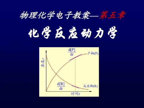 物理化学电子教案—第五章(1)