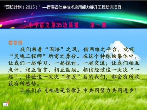 国培小学语文第35坊简报课件.ppt
