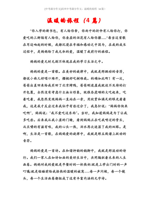 (中考满分作文)滨州中考满分作文：温暖的旅程(4篇)