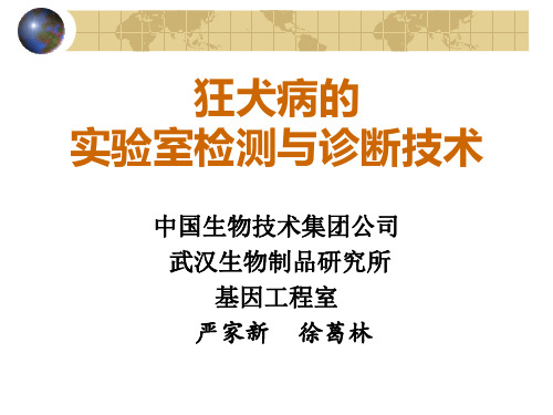 狂犬病的实验室检测和诊断技术