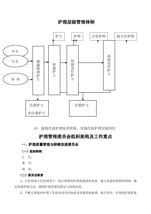 护理管理组织架构