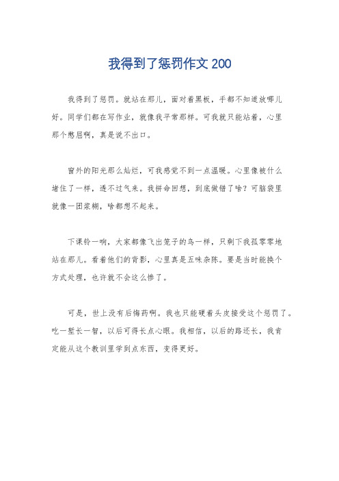 我得到了惩罚作文200