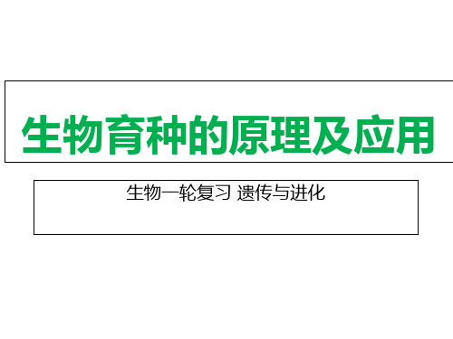 高中生物人教版必修 《一轮复习生物育种的原理及应用》课件(16张PPT)