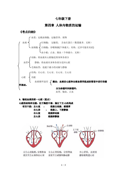 七年级下册生物第四章《人体内物质的运输》会考考点