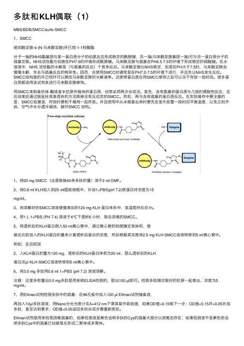 多肽和KLH偶联（1）