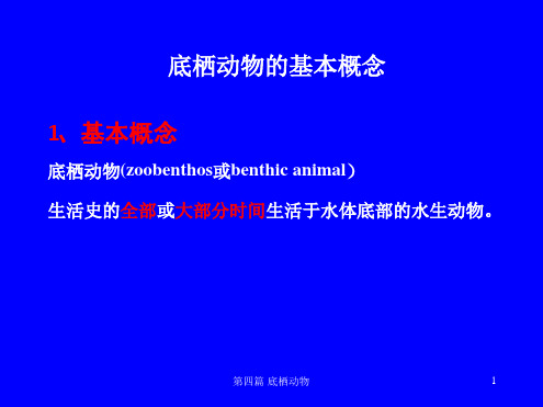 22第四篇底栖动物第一章环节动物