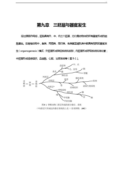 第九章三胚层与器官发生