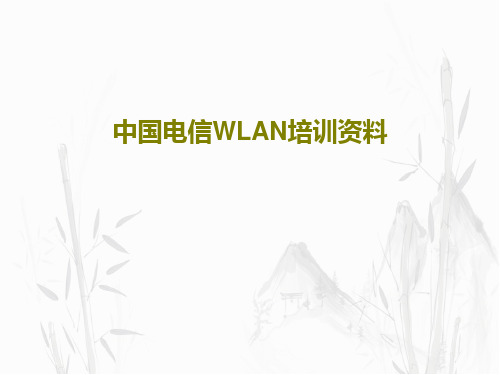 中国电信WLAN培训资料共65页