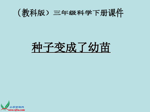 三年级科学下册_1.4种子变成了幼苗_教科版[1]