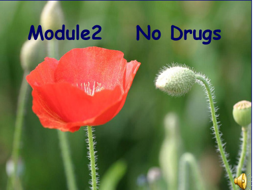 外研版必修2  Module 2 No Drugs