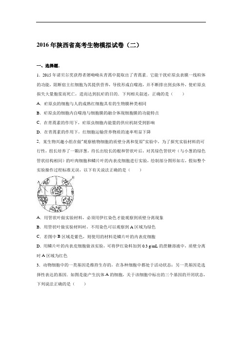 (解析版)2016年陕西省高考生物模拟试卷(二) Word版含