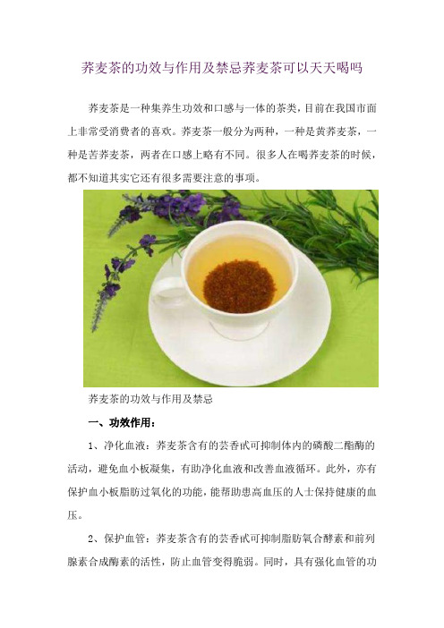 荞麦茶的功效与作用及禁忌 荞麦茶可以天天喝吗