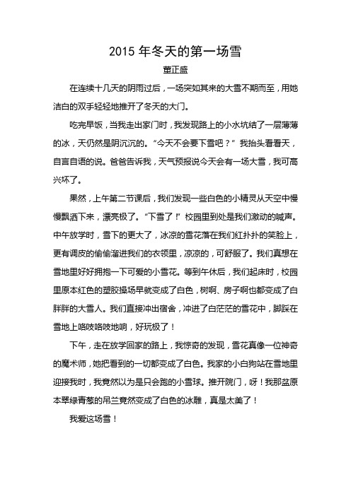 2015年冬天的第一场雪
