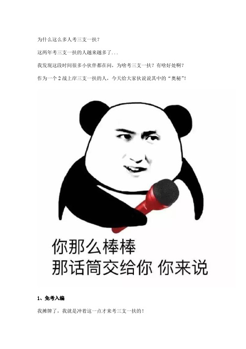 为什么这么多人考三支一扶？