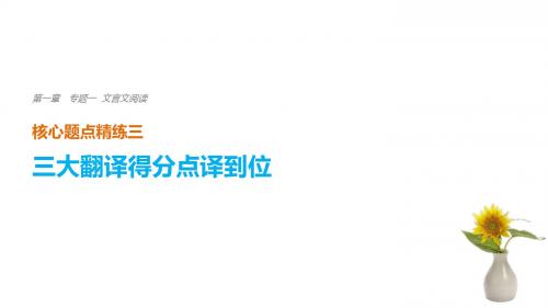 高考语文二轮复习考前三个月第一章核心题点精练专题一文言文阅读精练三三大翻译得分点译到位一、关键实词译