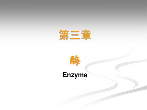 第四章 酶学