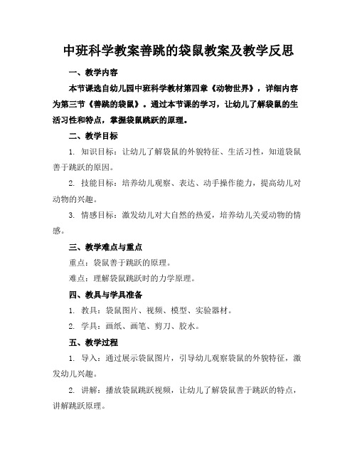 中班科学教案善跳的袋鼠教案及教学反思