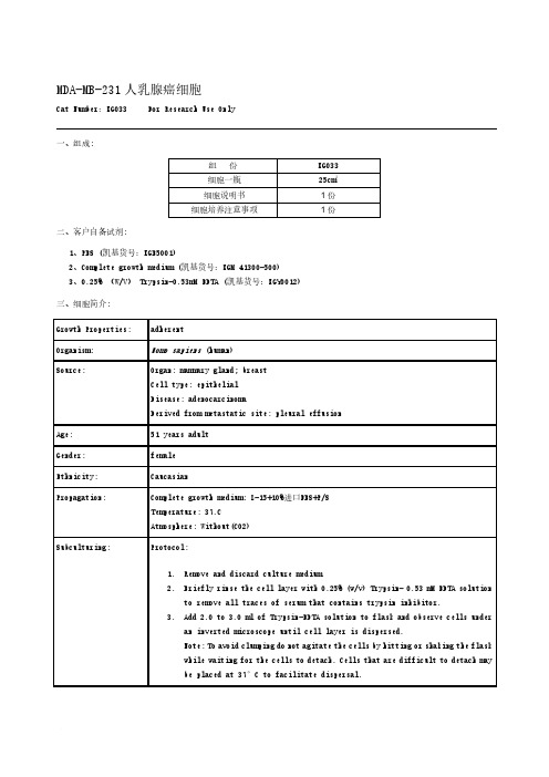 MDA-MB-231人乳腺癌细胞