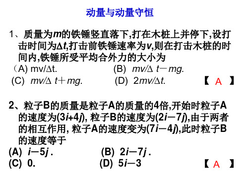 东华理工大学 物理练习试卷答案 动量与动量守恒