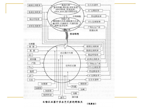 生物反应工程共38页