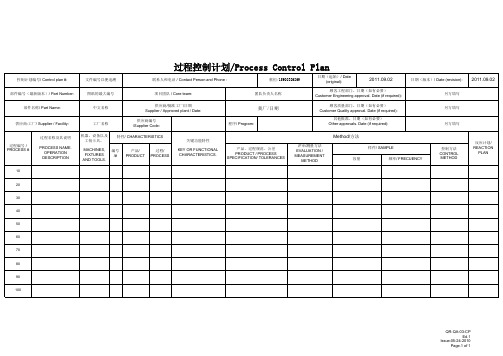 控制计划Process Control Plan