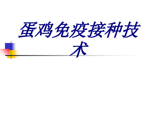 蛋鸡免疫接种技术PPT培训课件