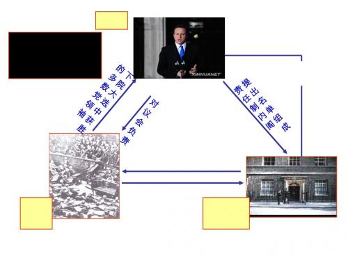 四国政体比较