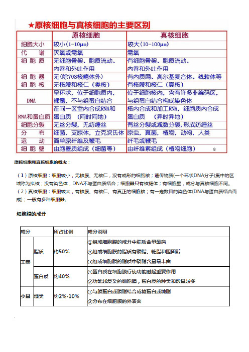 高中生物知识点大总结