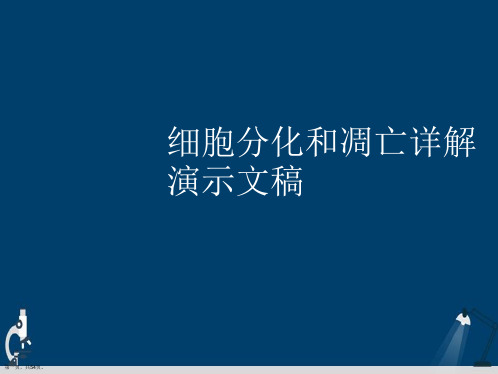 细胞分化和凋亡详解演示文稿