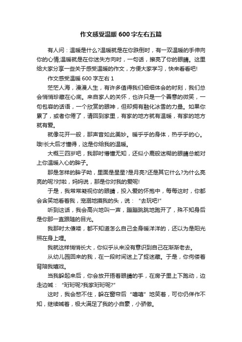 作文感受温暖600字左右五篇