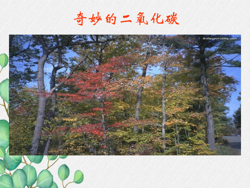 《奇妙的二氧化碳》PPT课件 (公开课专用)2022年沪教版 (7)