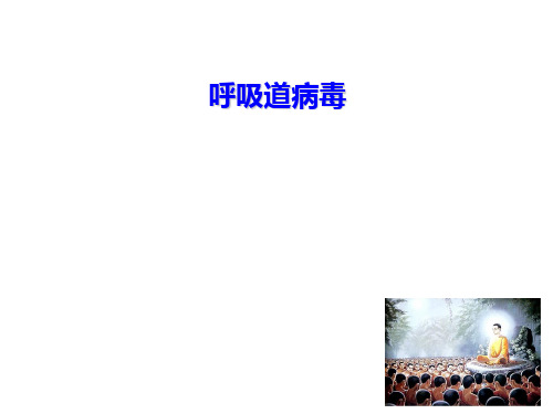 医学微生物学:呼吸道病毒