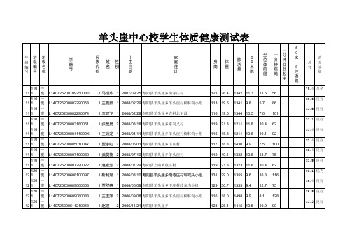 2014--2015年学生体质测试上报成绩表