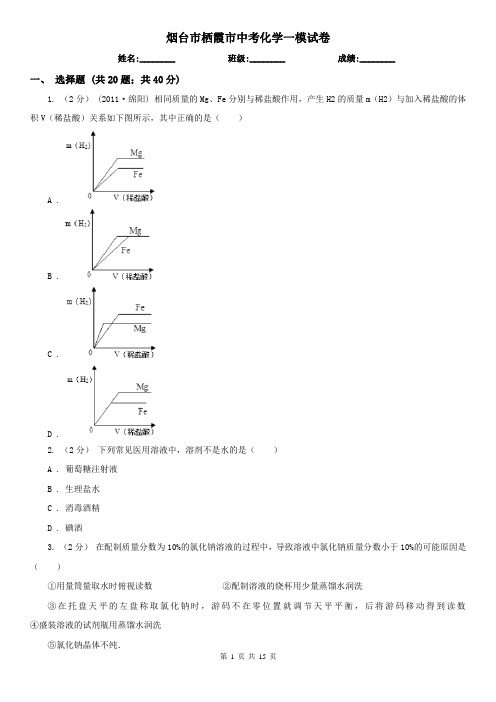 烟台市栖霞市中考化学一模试卷