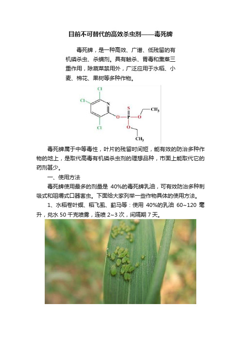 目前不可替代的高效杀虫剂——毒死蜱