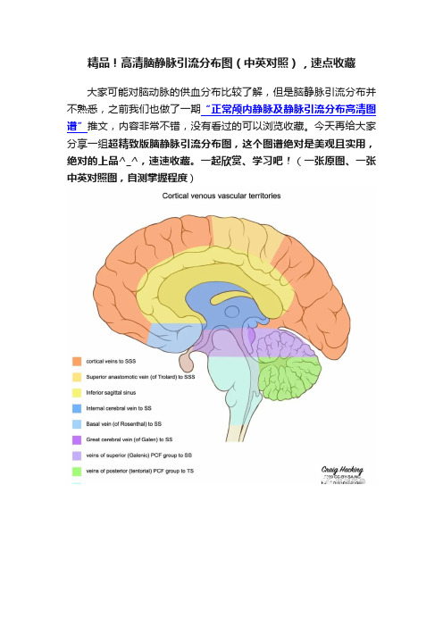 精品！高清脑静脉引流分布图（中英对照），速点收藏