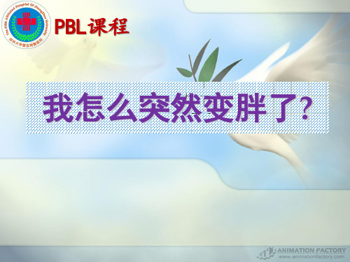 肾病综合征PBL -PPT