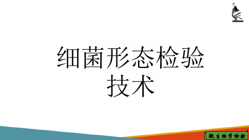 微生物检验常用技术与方法—临床细菌检验技术与方法(微生物检验课件)