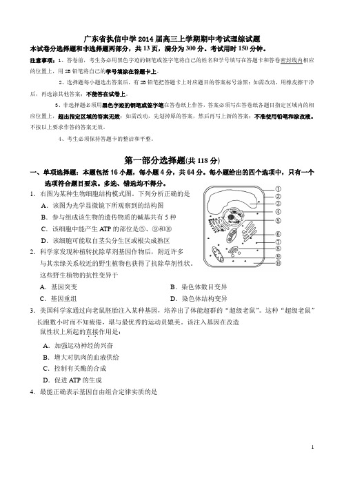 广东省执信中学2014届高三上学期期中考试理综试题