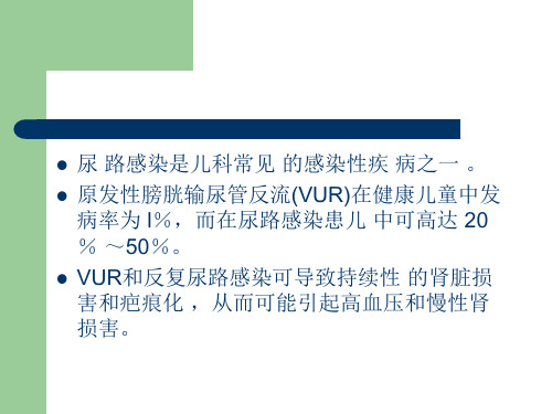 儿童尿路感染及原发性膀胱输尿管反流临床诊治的专家共识教学内容